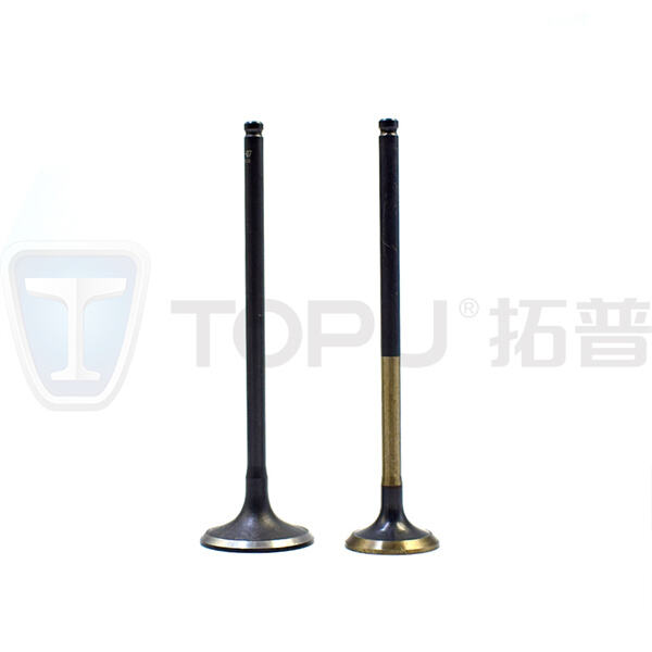 صمامات عادم المحرك مصممة لتحقيق كفاءة مثلى