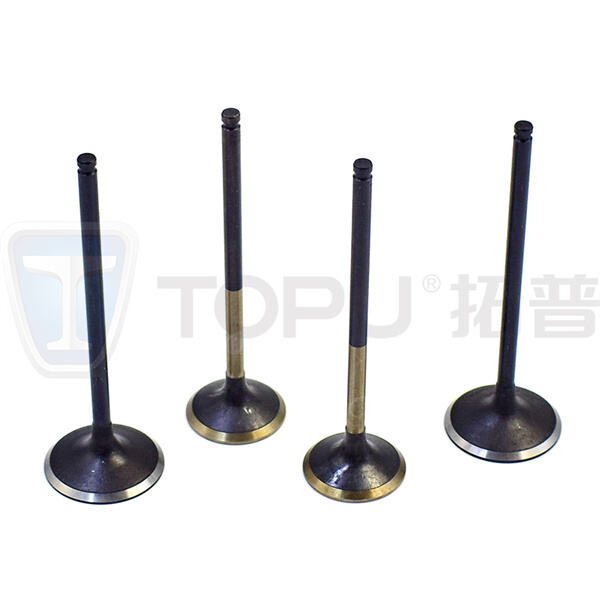 صمامات سحب وعادم متينة وطويلة الأمد للتطبيقات الصناعية