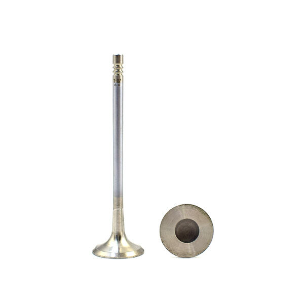 Trust our proven track record of customer satisfaction with our LS3 exhaust valves