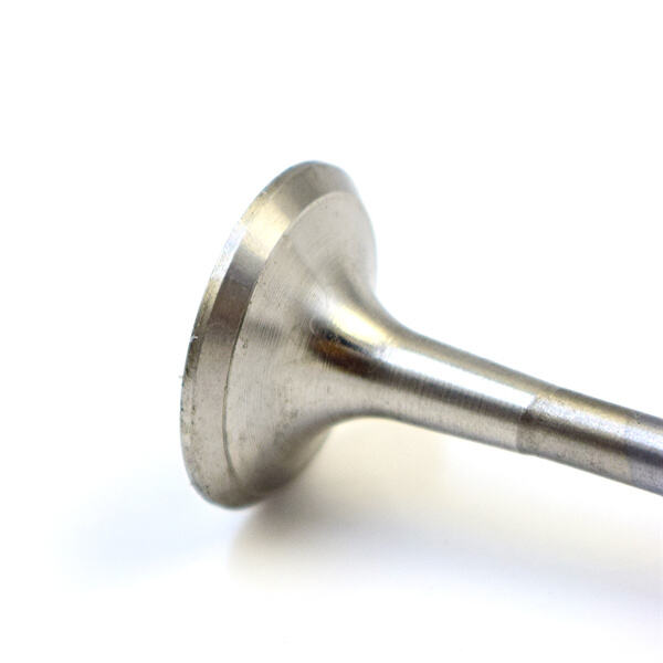 Enhance your vehicle's horsepower with our high-performance LS3 exhaust valves