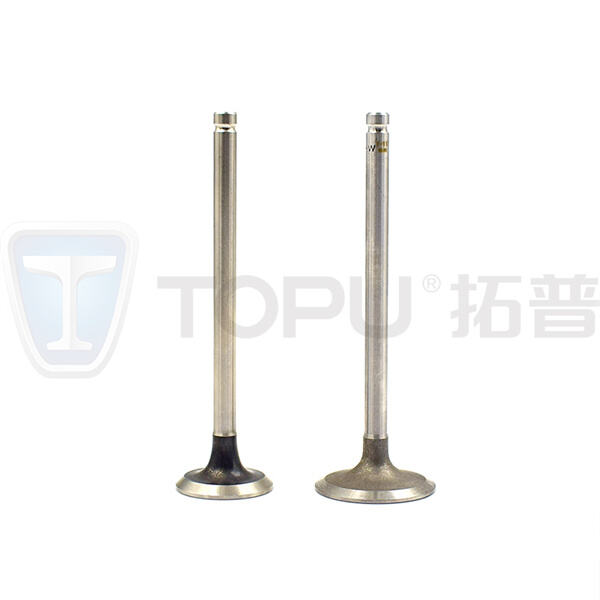 كيف تساهم صمامات السحب عالية الجودة في إطالة عمر المحرك