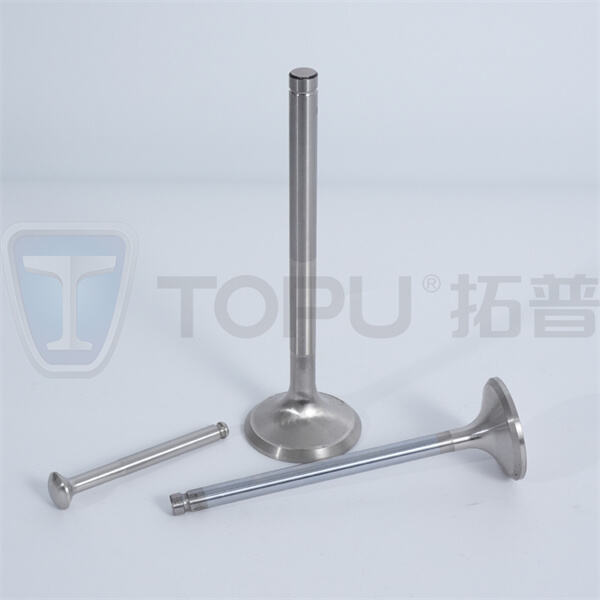 حسّن عمر المحرك مع حلول الصمامات الموثوقة لدينا