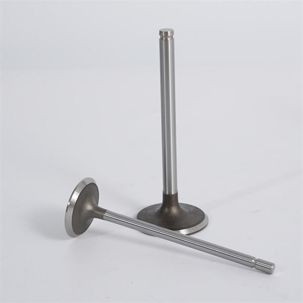 حسّن كفاءة استهلاك الوقود وعزز أداء سيارتك باستخدام صمامات السحب لدينا