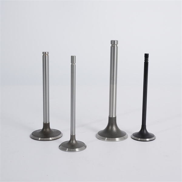 متانة وكفاءة متفوقة مع صمامات السحب الخاصة بنا للسيارات