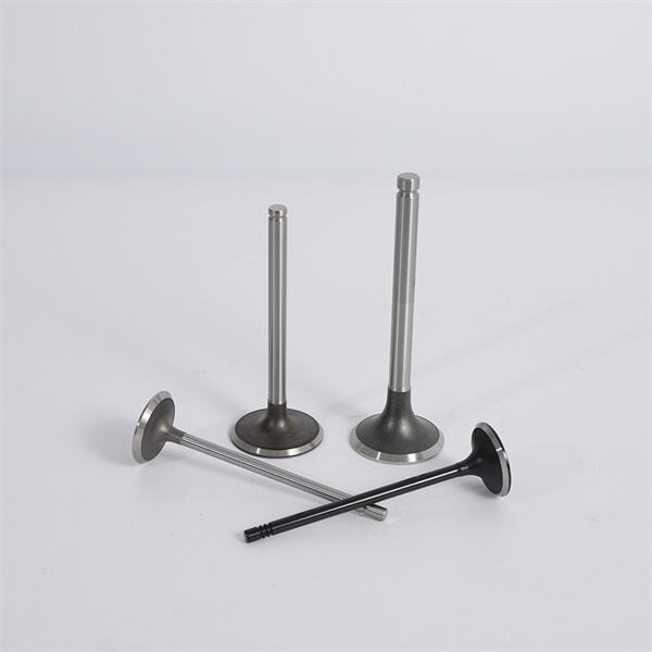 خيارات صمام العادم فعالة من حيث التكلفة وطويلة الأمد