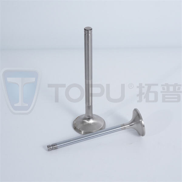 اضبط كفاءة استهلاك الوقود مع صمامات العادم المتينة لدينا