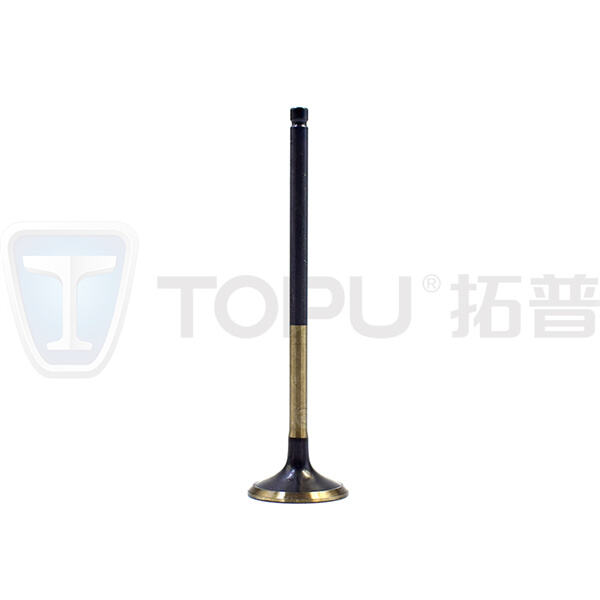 افتح المزيد من القوة والكفاءة مع مكابس الصمامات المسطحة