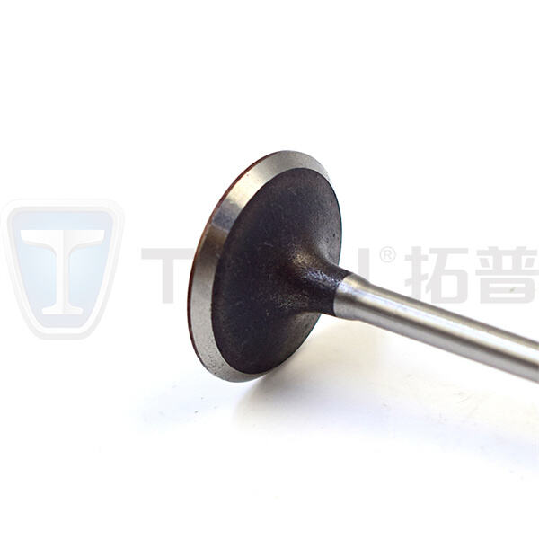 أسعار جملة تنافسية لصمامات محركات الديزل