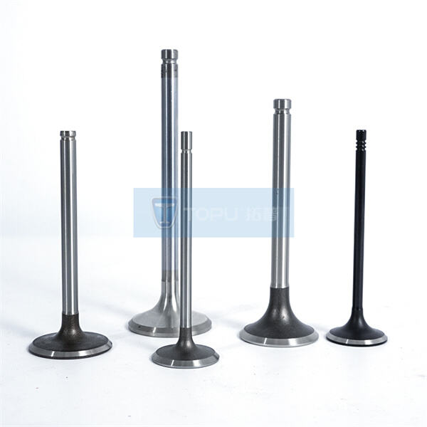 انضم إلى المسار السريع نحو النجاح مع صمام العادم التوربيني عالي الأداء لدينا