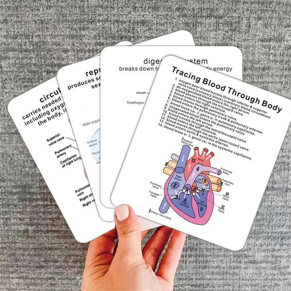 Test your knowledge and review key concepts with comprehensive anatomy flashcards