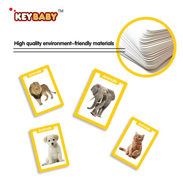 Explore the animal kingdom through educational flash cards