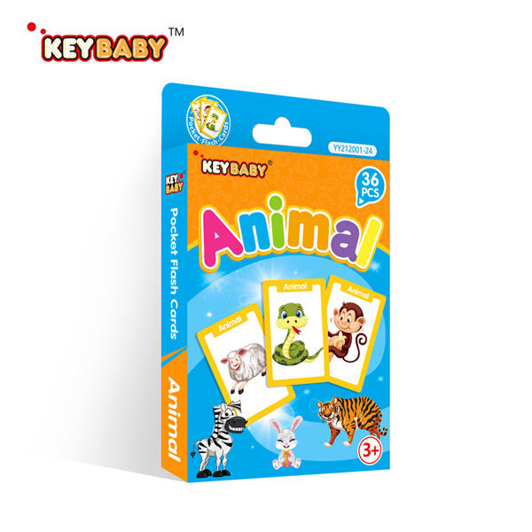 Discover new creatures with colorful flash cards