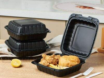 Sustainable takeout containers made from renewable sugarcane fiber