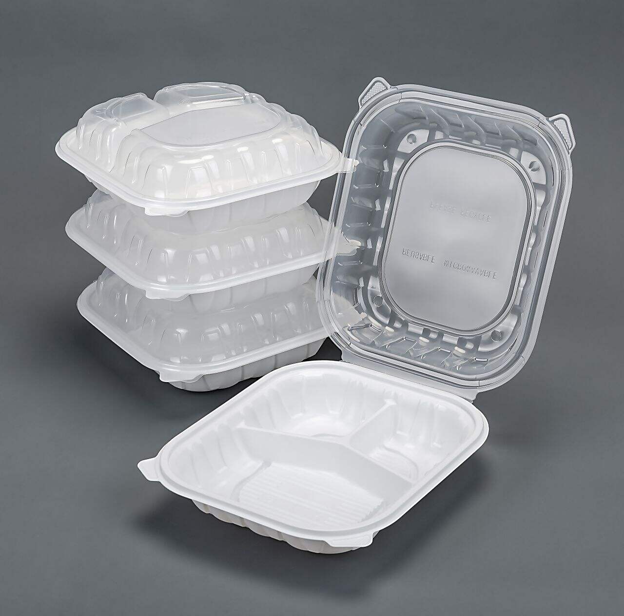 3 compartment food containers for your busy lifestyle