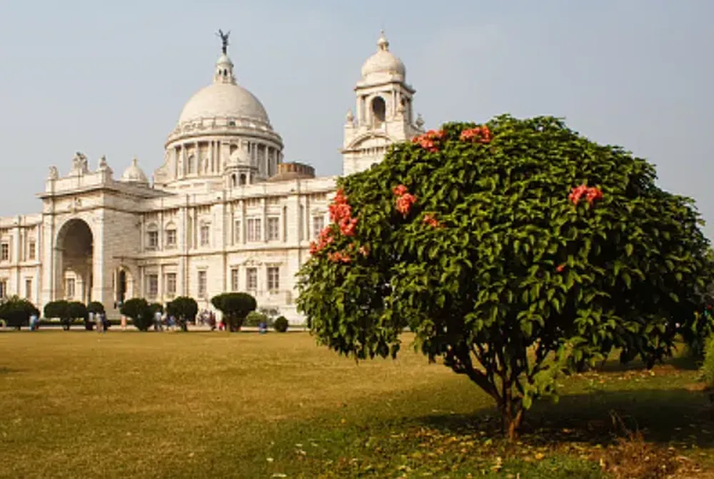 Freight Forwarder China To India