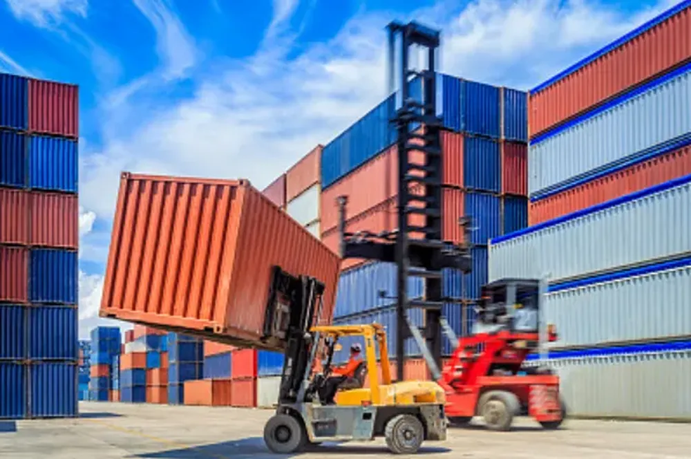 Expertise in Customs Clearance