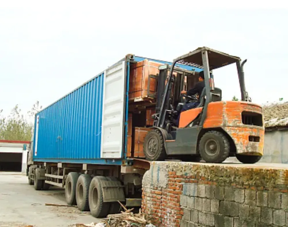 Sea Freight Forwarder In China