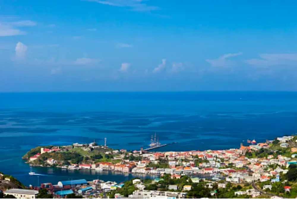 Expertise in Customs Clearance