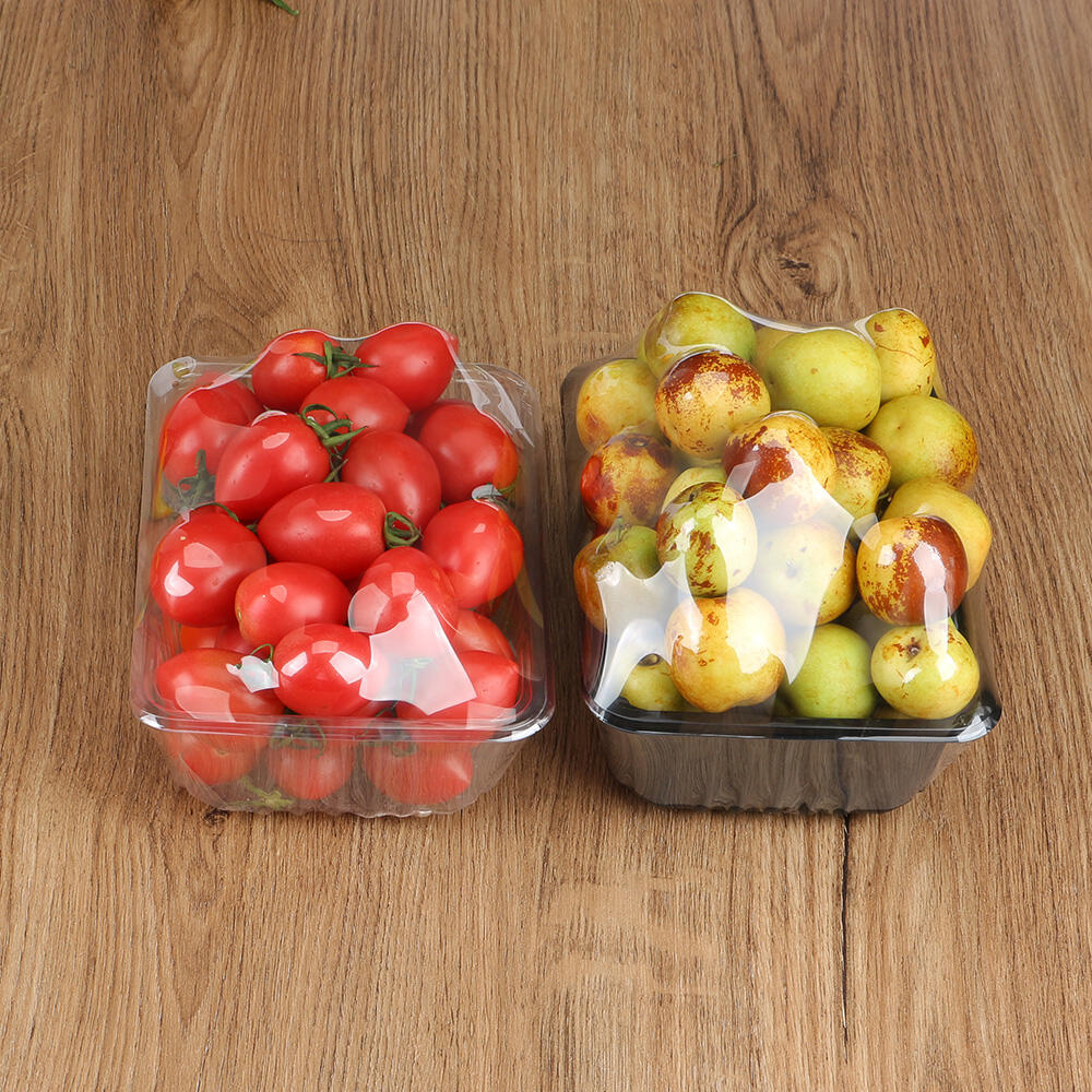 160*80mm Disposable SAP Absorbent Pad with Different Size Fruit Vegetable Seafood Absorbent Pad for Meat factory