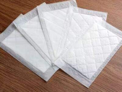 Excellent absorbent pad factory with the most sizes, types in China