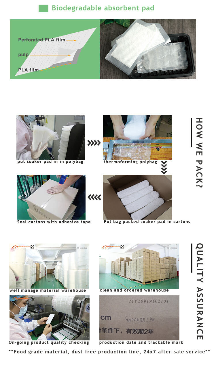160*80mm Disposable SAP Absorbent Pad with Different Size Fruit Vegetable Seafood Absorbent Pad for Meat manufacture