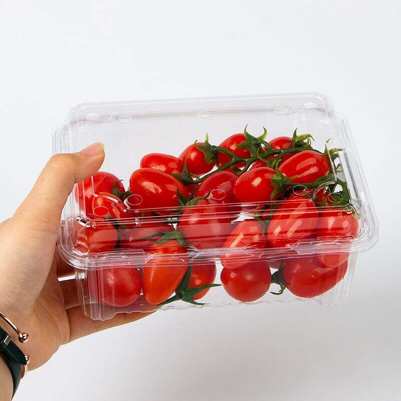 Factory price Wholesale Clear Container Clamshell Fruit Box For Supermarket Packaging