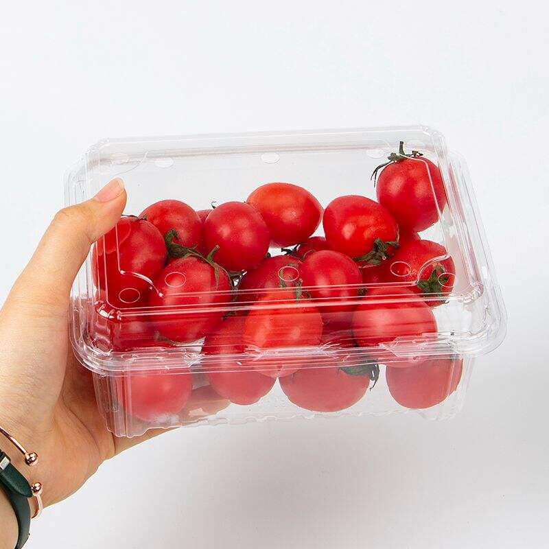 Factory price Wholesale Clear Container Clamshell Fruit Box For Supermarket Packaging