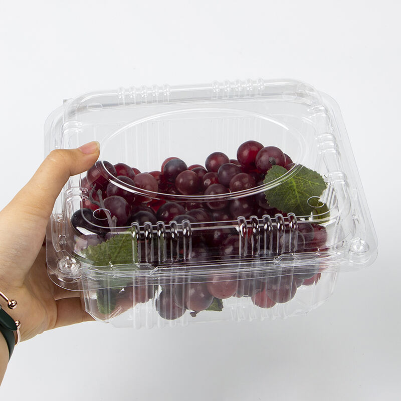 Factory price Wholesale Clear Container Clamshell Fruit Box For Supermarket Packaging