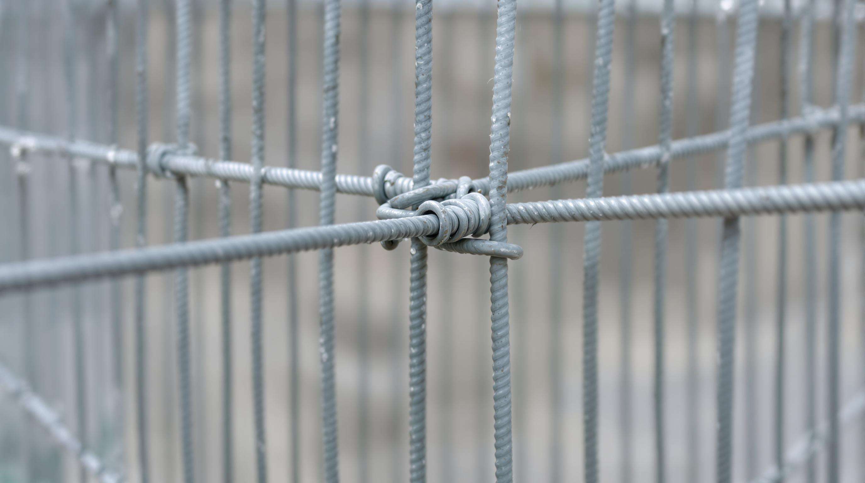Close-up of double wire mesh fence showing welded intersections and robust twin wire design