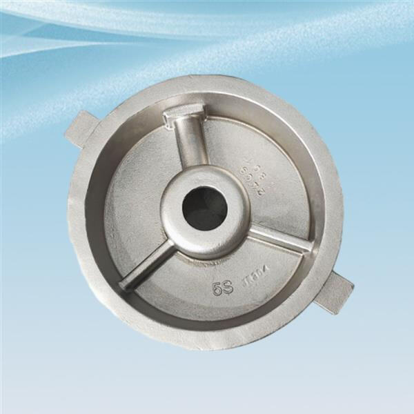 Stainless steel centrifugal pumps for challenging industrial applications