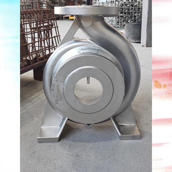 Heavy-duty stainless pump for demanding industrial applications