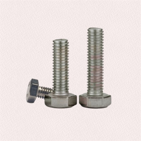 Secure Your Project with Stainless Steel Nuts & Bolts