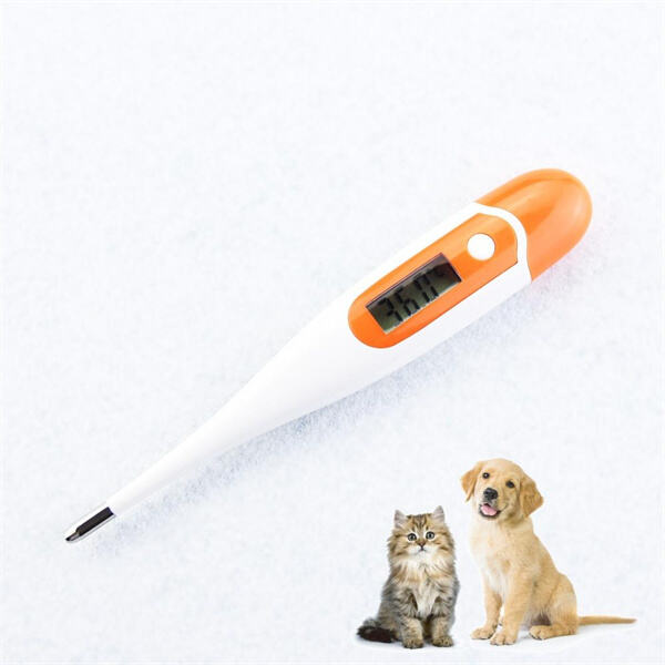 Warum verwenden Tierärzte oft ein rektales Hundethermometer für Temperaturkontrollen?