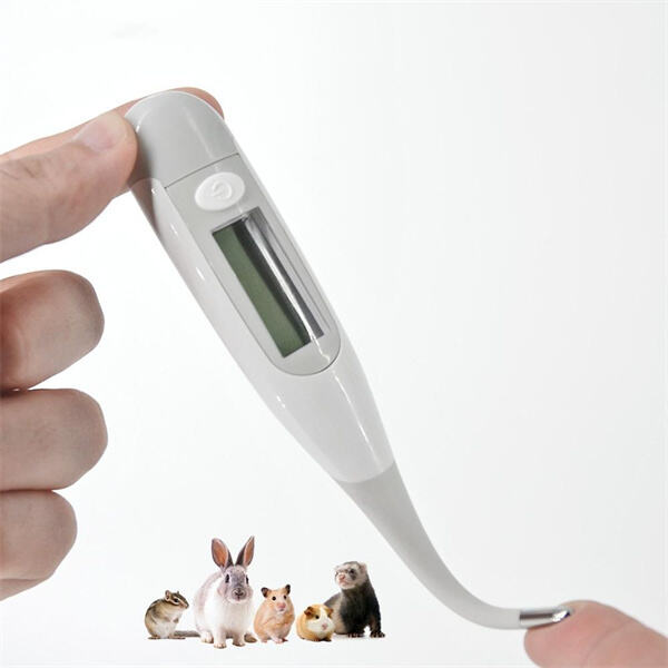 Asegura el confort de tu cachorro con un termómetro para mascotas no invasivo