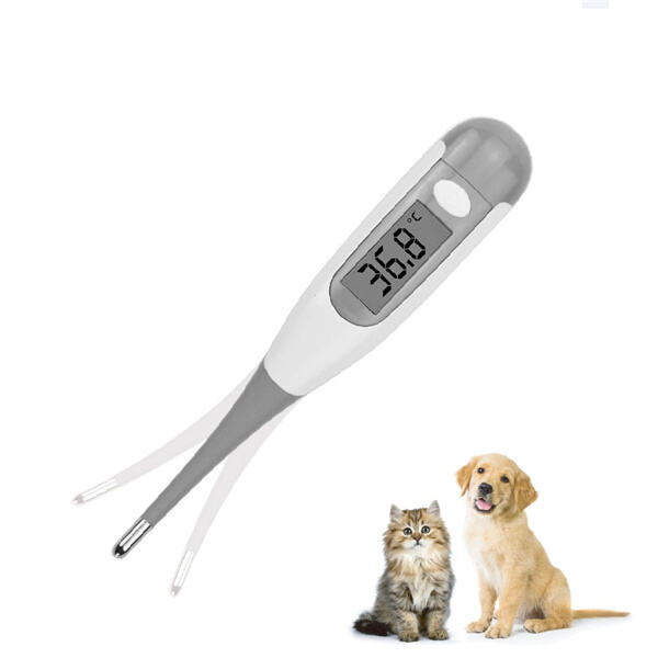 Thermomètres fiables pour un chien heureux et en bonne santé