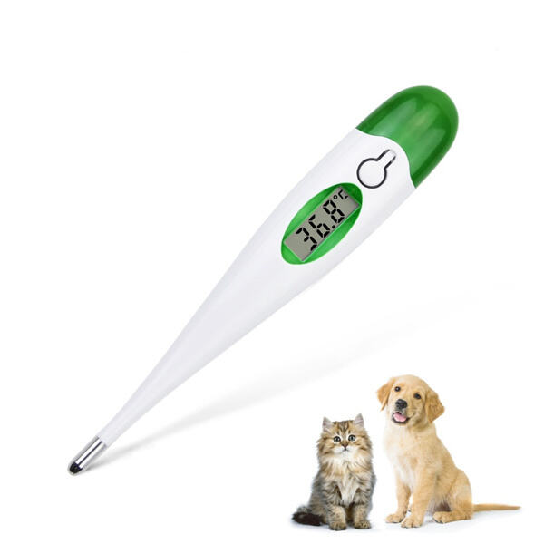 Warum sollte jeder Haustierbesitzer einen Thermometer griffbereit haben?