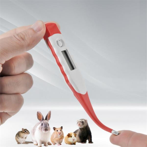 Nehmen Sie dem Raten bei der Körpertemperatur Ihres Haustieres mit einem rektalen Hundethermometer den Wind aus den Segeln