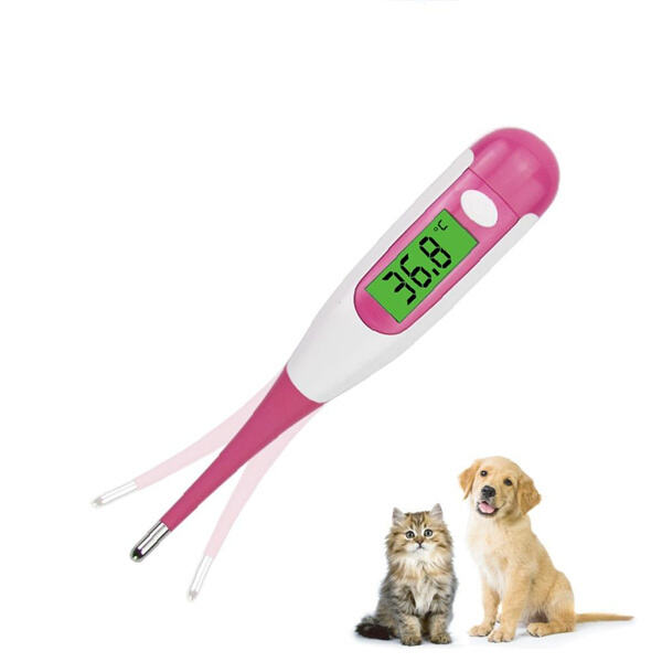 Beseitigt das Unbehagen traditioneller Thermometer