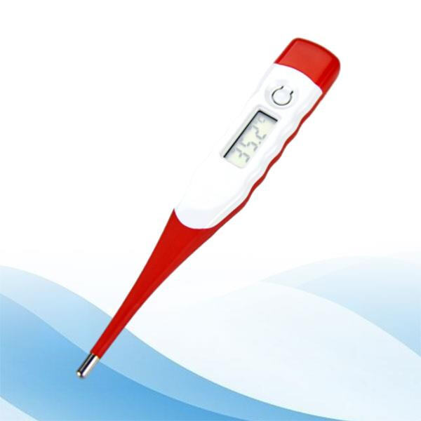 Guía paso a paso sobre cómo usar un termómetro rectal en tu compañero canino