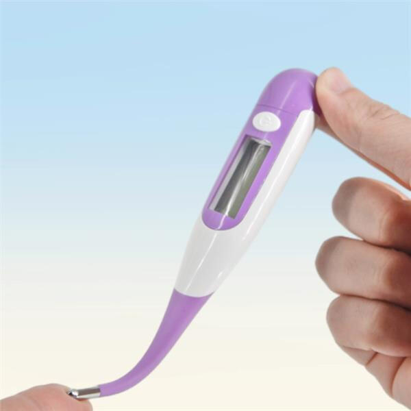 Soluciones económicas para monitorear la temperatura de tu perro