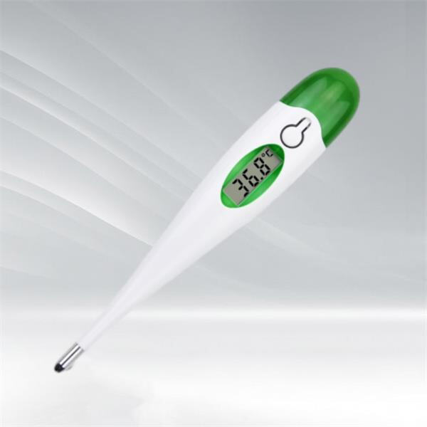 La importancia de los termómetros rectales en la medicina veterinaria