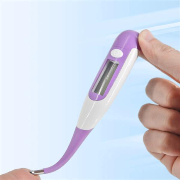 Protégez votre chien avec les meilleurs thermomètres disponibles