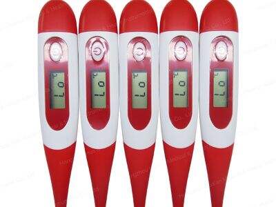 How to tell if a thermometer is accurate
