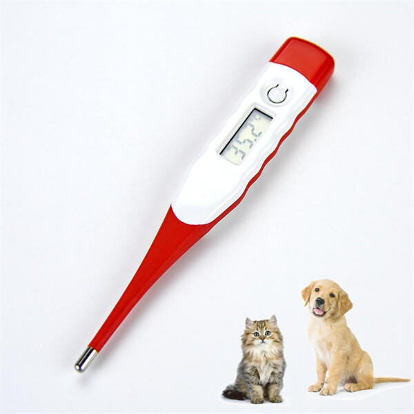 Cuándo consultar a un veterinario si la temperatura de tu perro es anormal?