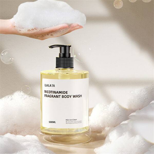 Փոխակերպեք ձեր լոգասենյակի ժամանակը՝ օգտագործելով մեր առատ լոգասենյակի ձեռքի բաղադրությունը