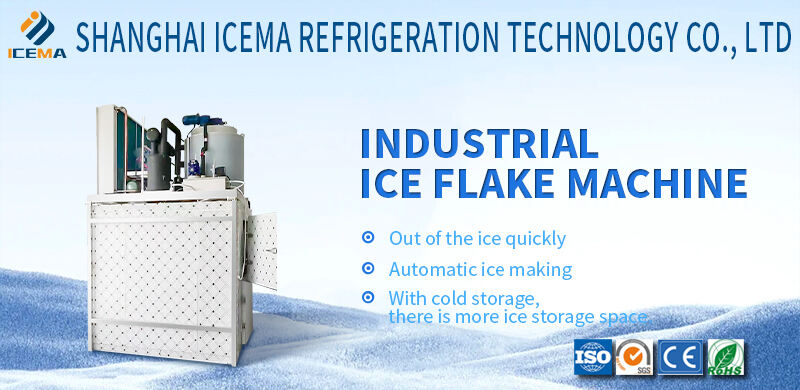 For fishing and catering industry flake ice machine daily output of 5 tons can be customized details