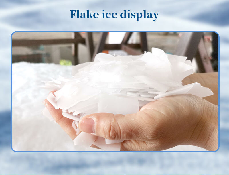 For fishing and catering industry flake ice machine daily output of 5 tons can be customized details