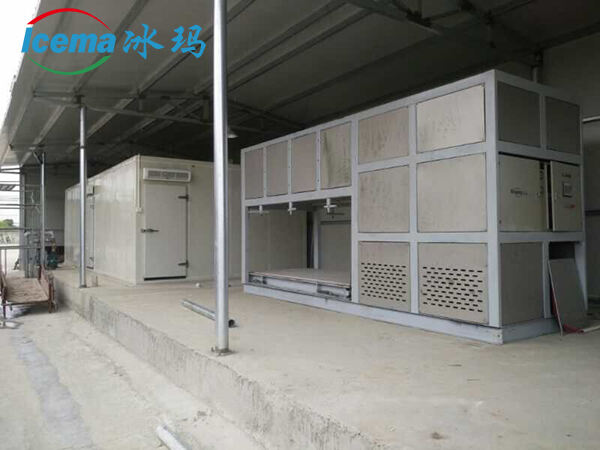 ICEMA 1T-20T Industrial Direct Cooling Block Ice Machine manufacture