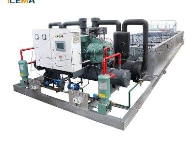 How to choose the best crushed ice machine Manufacturer?