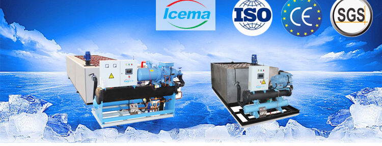 25T Industrial Block Ice Making Machine supplier